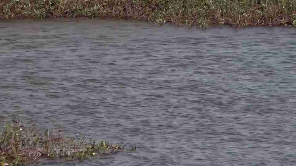Lagoa na Avenida das Torres será esvaziada para retirada de peixes