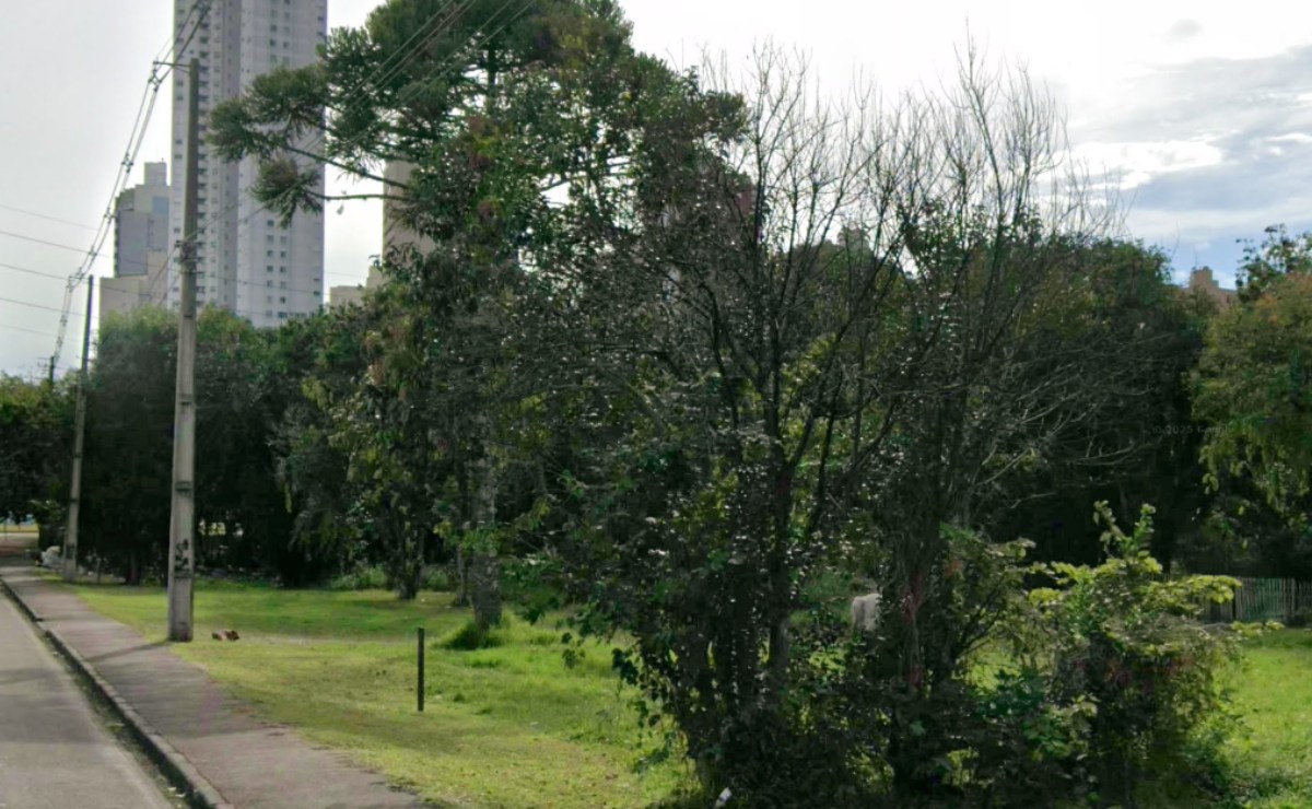 Homem é encontrado morto dentro de saco em matagal de Curitiba