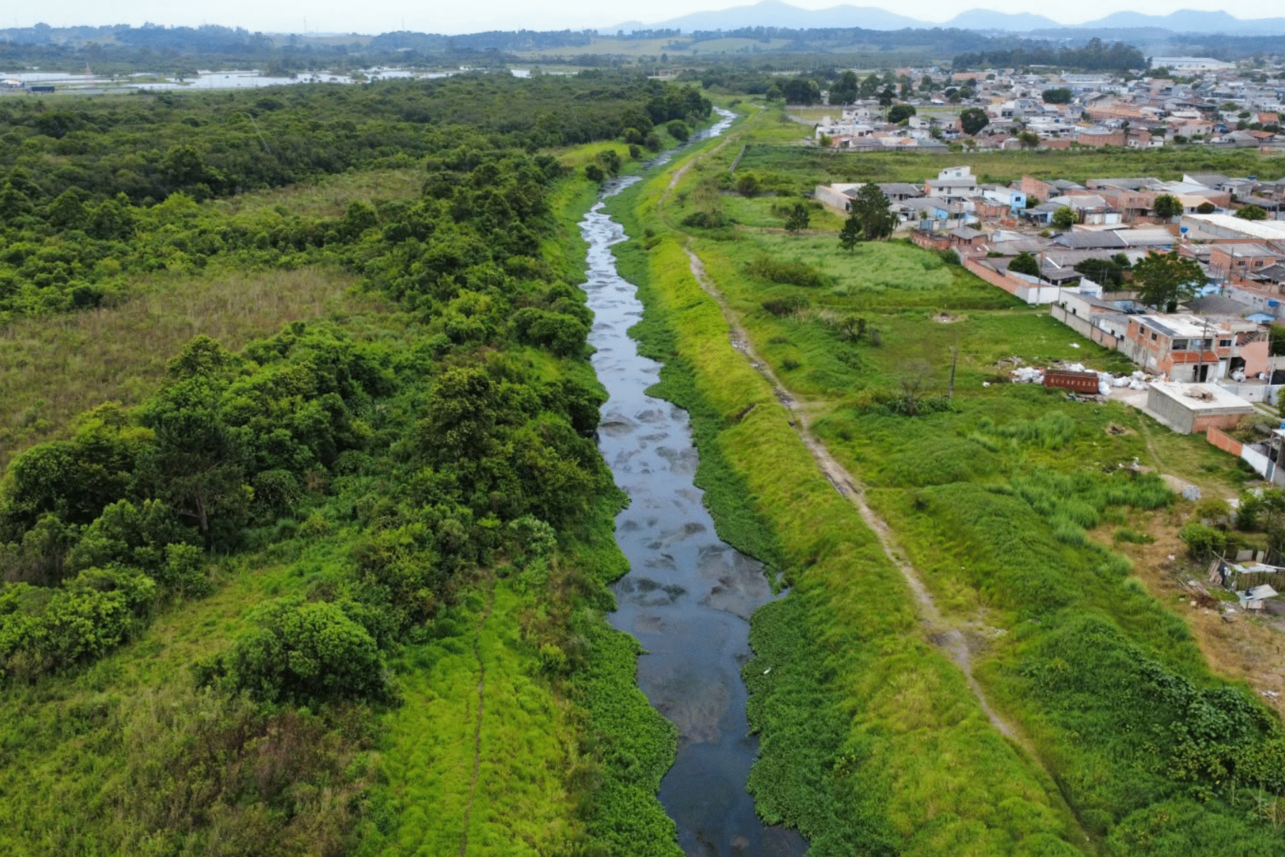 Paraná institui plano diretor para corredor de biodiversidade na RMC