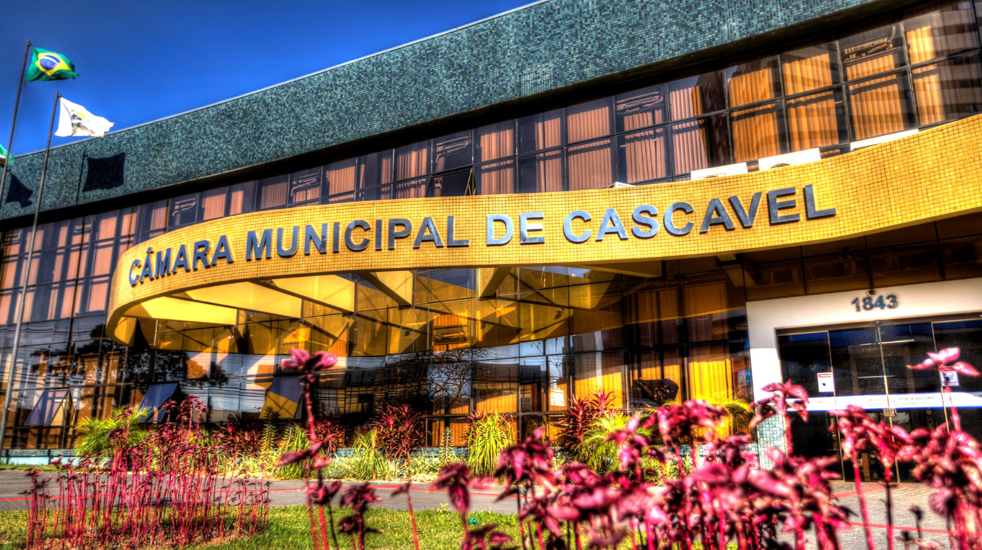 Câmara de Cascavel aprova Semana Municipal de Educação Financeira