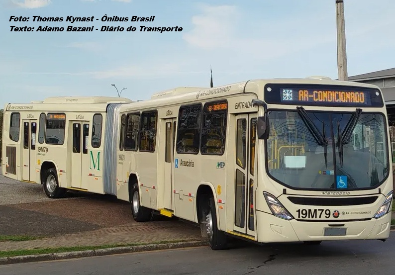 Araucária Transporte Coletivo obtém financiamento de R$ 11,27 milhões para ônibus