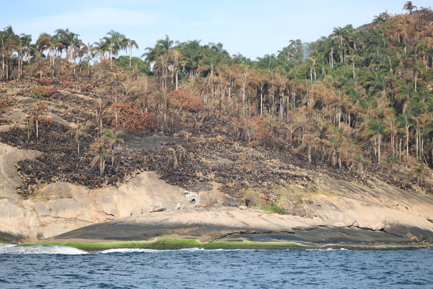 Incêndios atingem duas áreas de preservação em Niterói em pouco mais de uma semana
