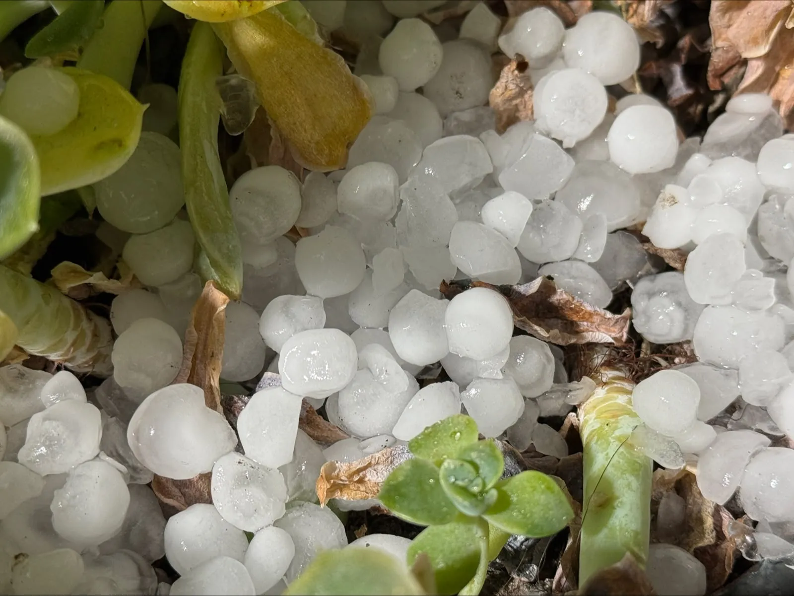 Chuva forte e granizo atingem bairros de Curitiba e região nesta segunda