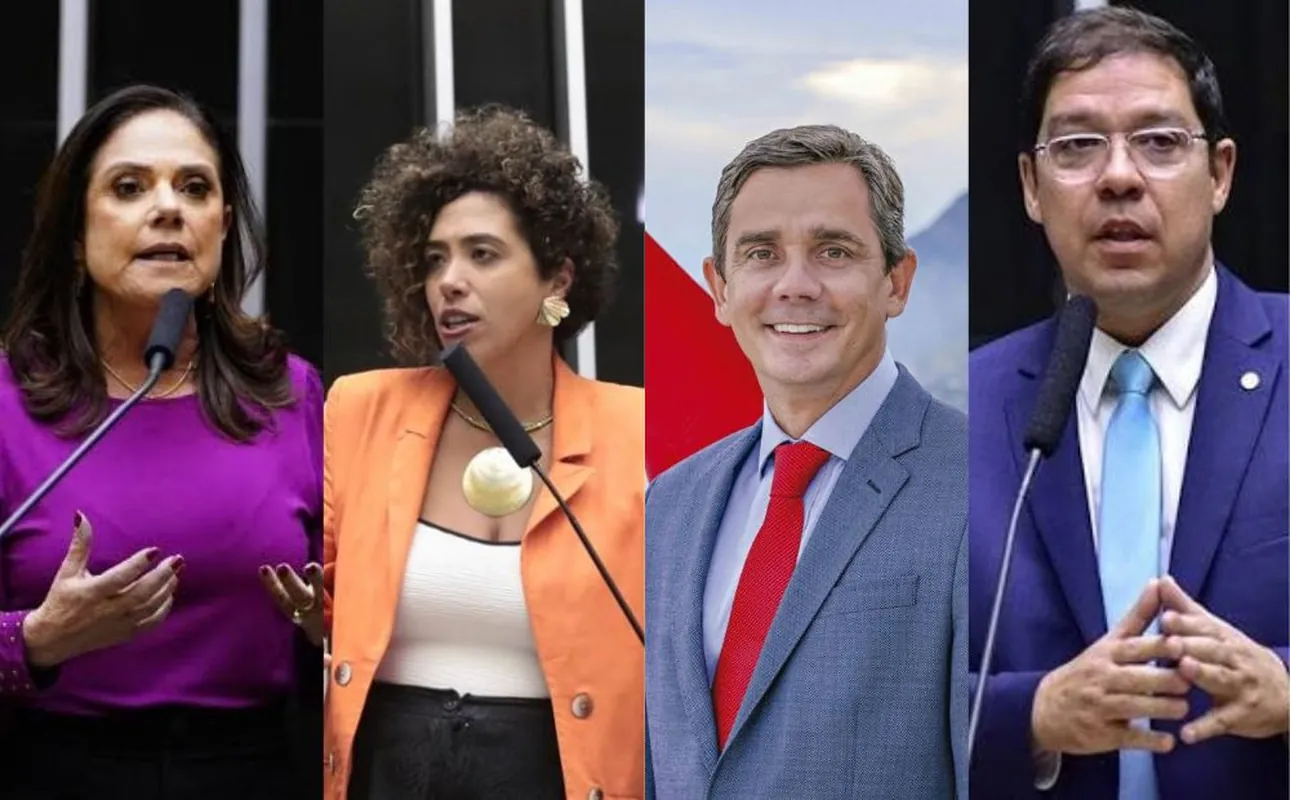 Niterói e cidades da região elegem 17 deputados para Câmara e Alerj