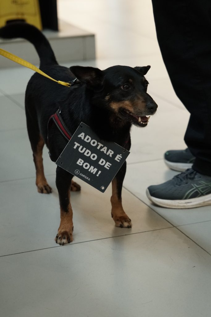 Serviços