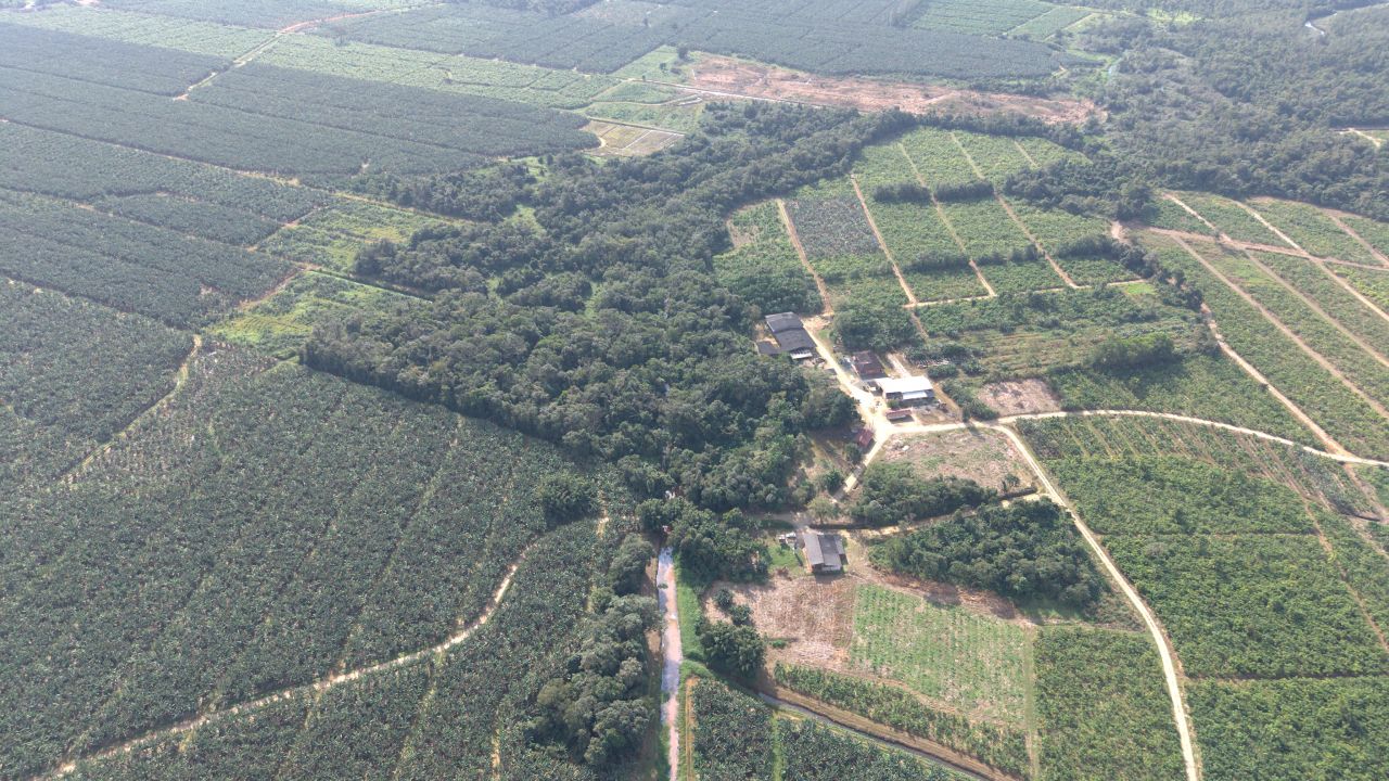 Temporal causa prejuízo de R$ 47,8 milhões à agricultura de Guaratuba