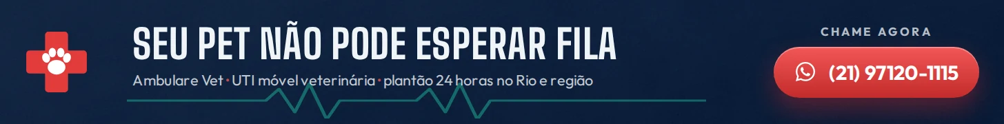 Ambulare Vet: seu pet nao pode esperar fila. UTI movel veterinaria 24 horas. WhatsApp (21) 97120-1115.