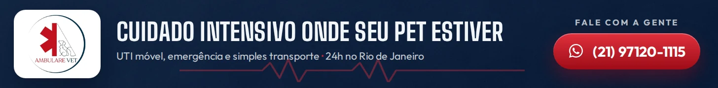 Ambulare Vet: cuidado intensivo onde seu pet estiver, 24h no Rio de Janeiro. WhatsApp (21) 97120-1115.