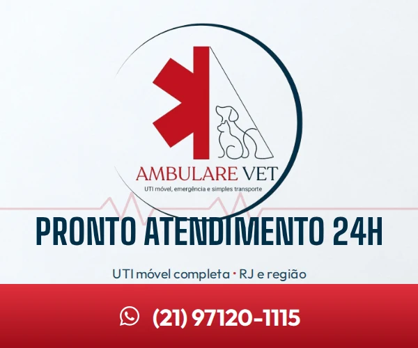 Ambulare Vet: emergencia veterinaria 24 horas, suporte intensivo e remocao no Rio e regiao. WhatsApp (21) 97120-1115.