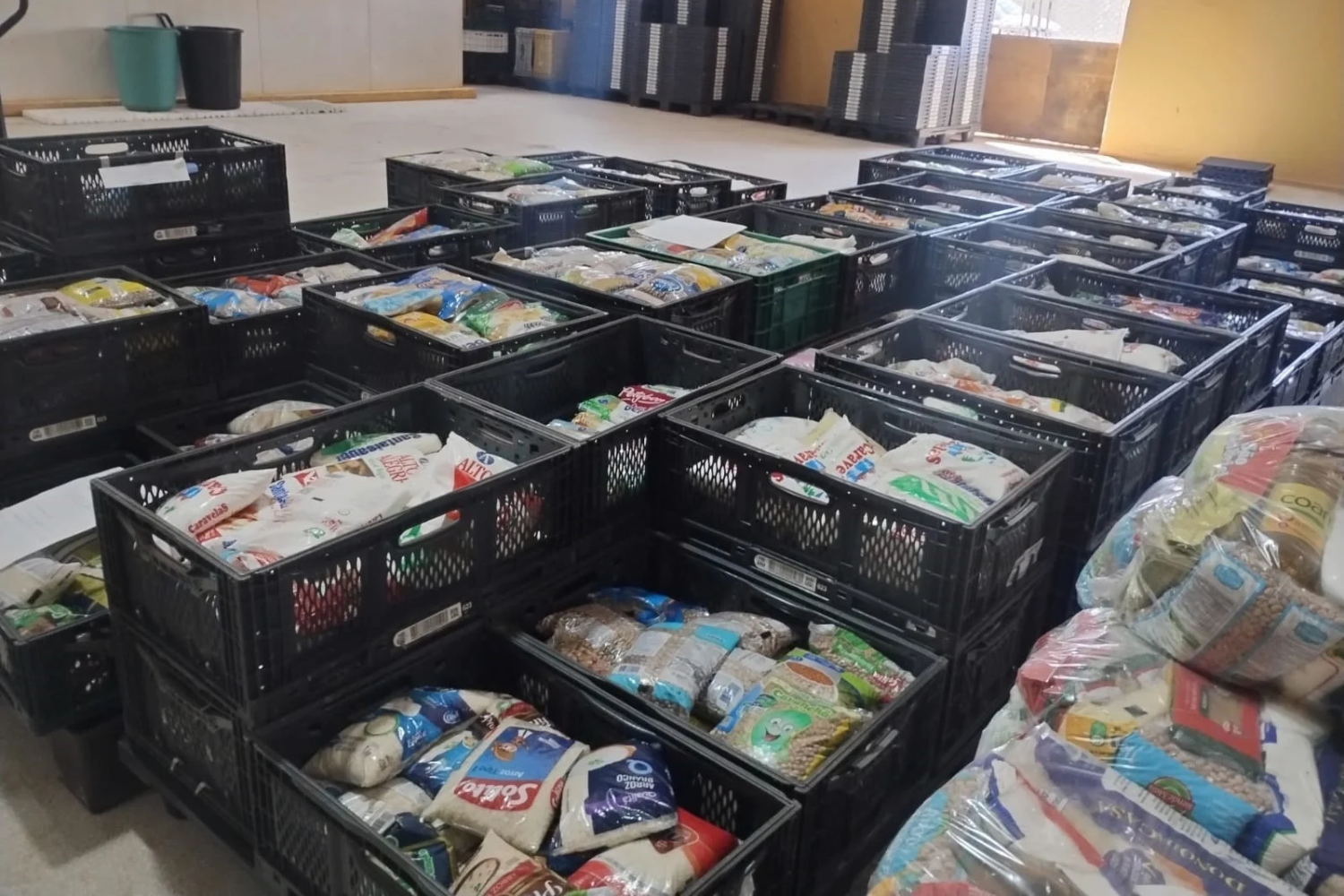 Fundo Social distribui alimentos do João Rock a entidades de Ribeirão Preto