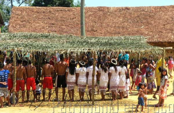 Aldeia Sapukai terá primeira seção eleitoral neste domingo em Angra