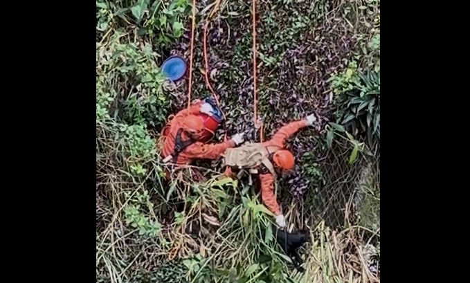 Bombeiros resgatam cachorro em área de difícil acesso no Pavão-Pavãozinho