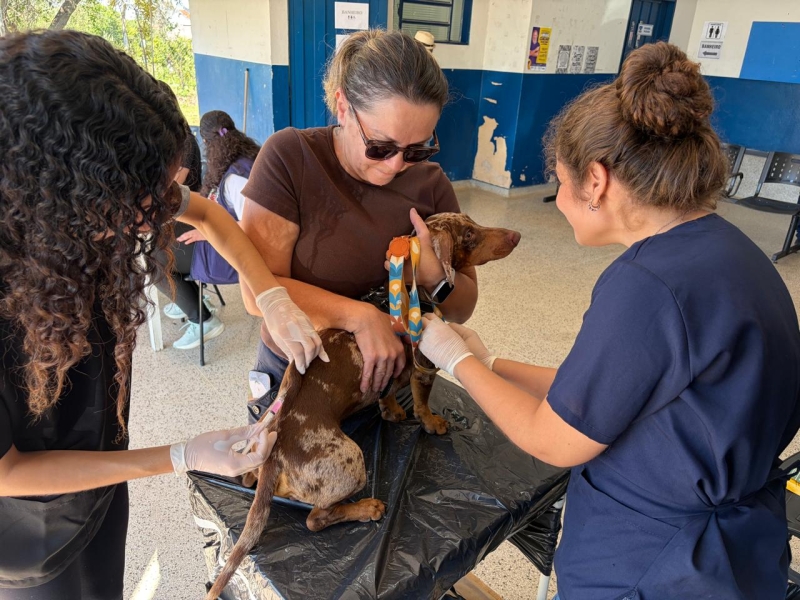 Ação antirrábica imuniza 370 animais na zona sul de Marília