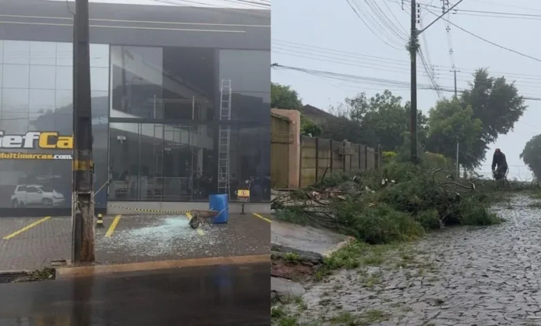 Temporal derruba árvores, quebra vidros e deixa bairros sem energia em Wenceslau Braz