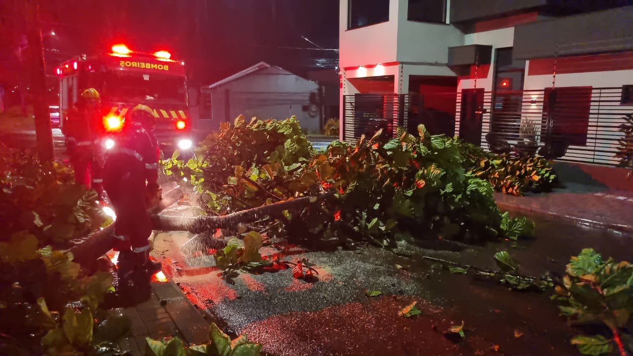 Queda de árvore interdita Rua Coralina durante madrugada em Cascavel